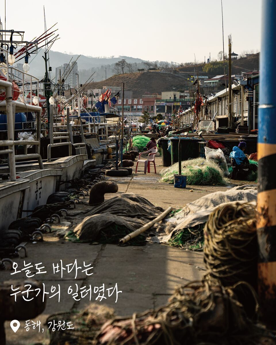 묵호항 활어판매센터 여행 사진