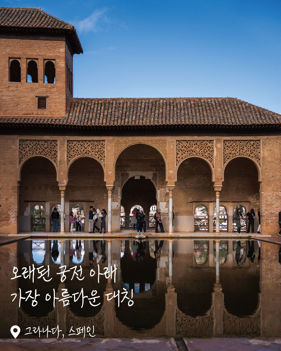 아라야네스 정원 여행 사진