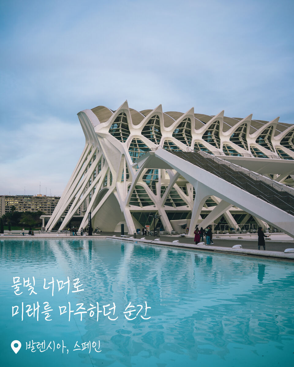 펠리페 왕자 과학 박물관 여행 사진
