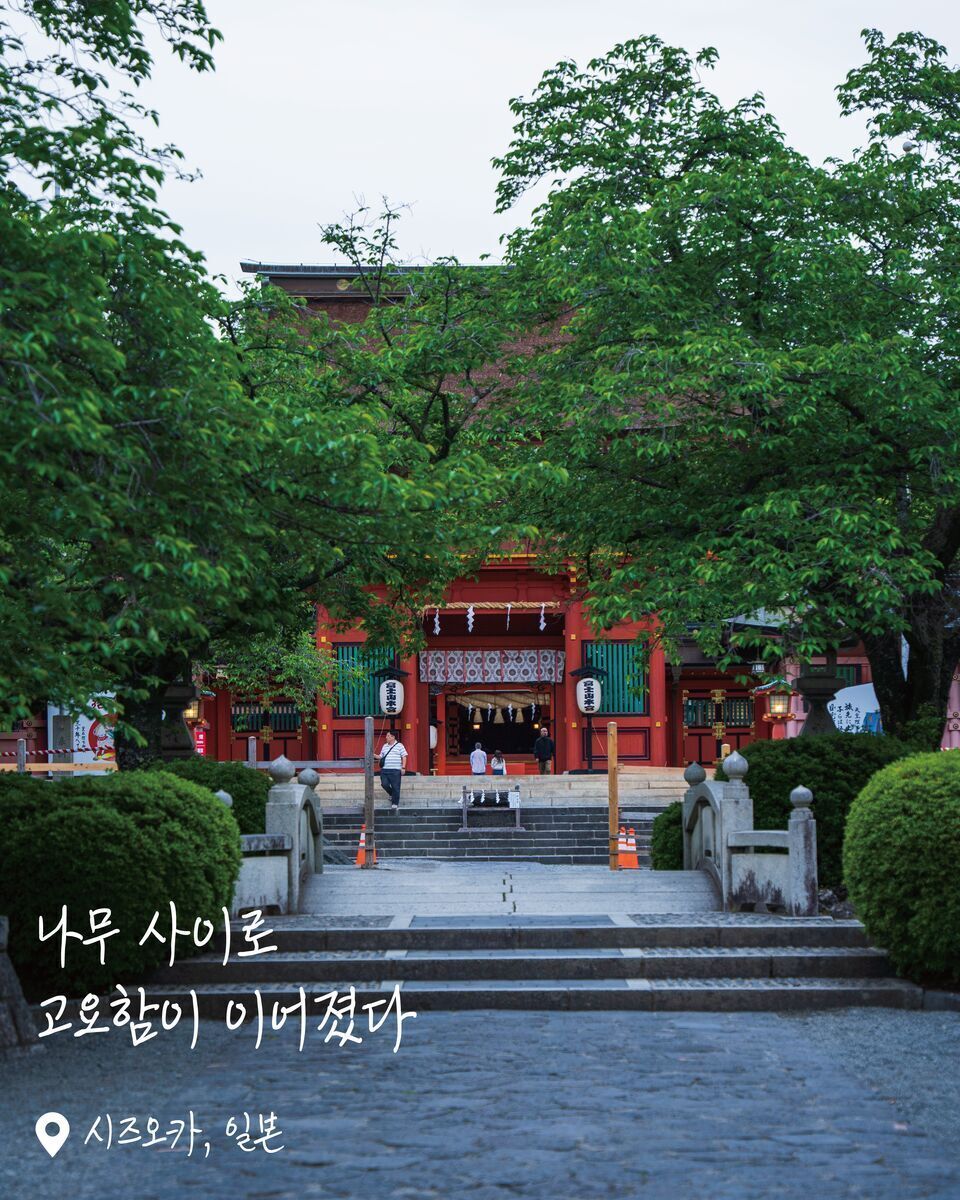 후지산 본궁 센겐 신사 여행 사진
