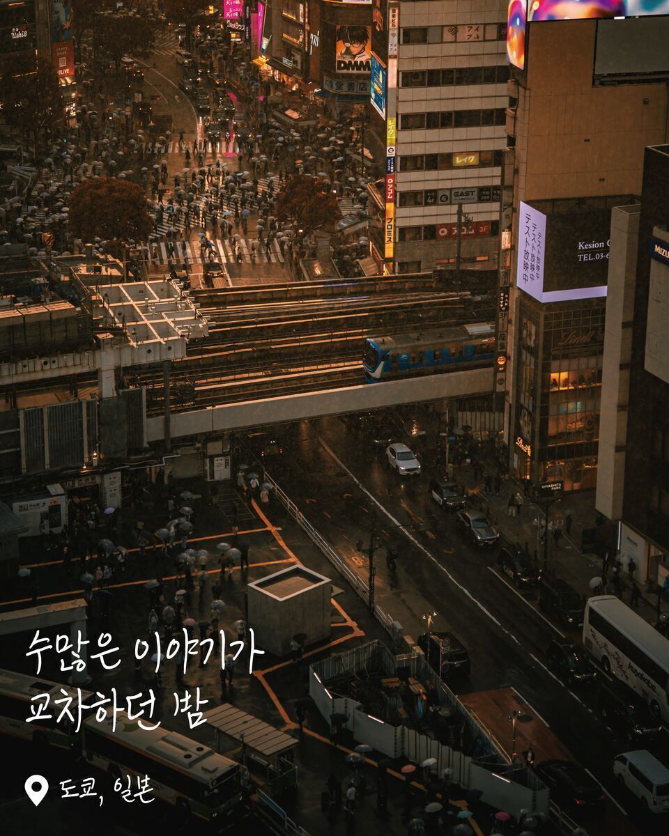 시부야 스크램블 교차로 여행 사진
