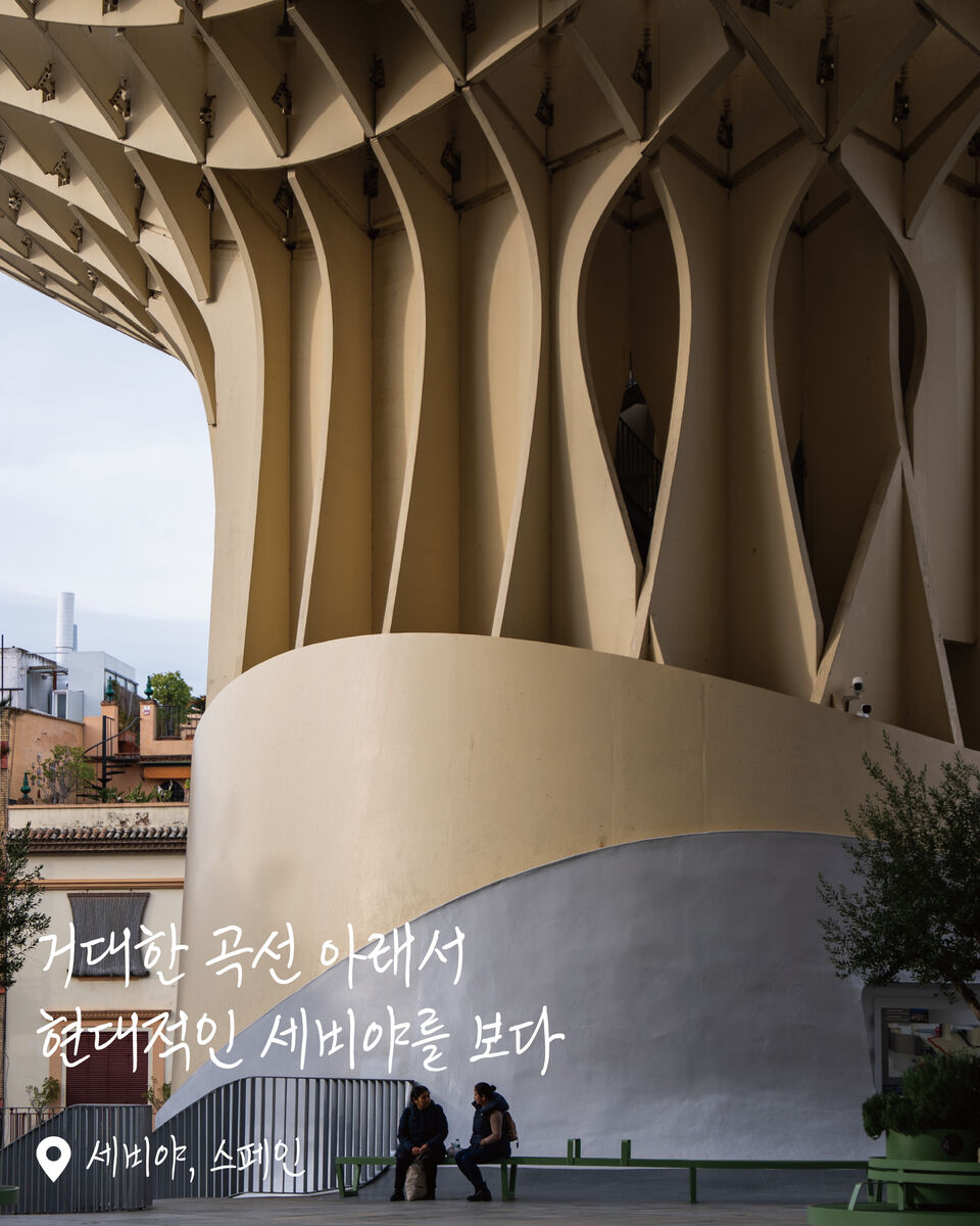 메트로폴 파라솔 여행 사진