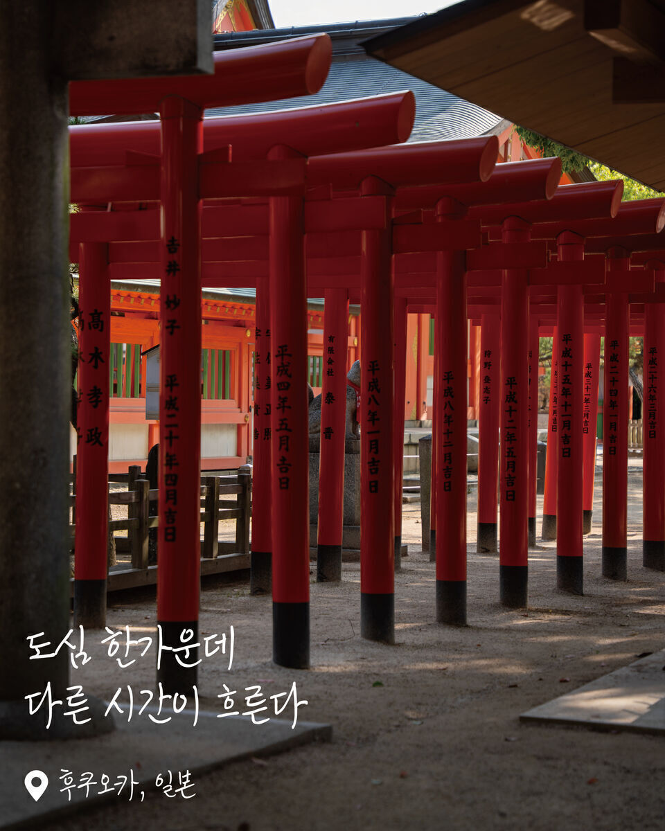 스미요시신사(후쿠오카) 여행 사진