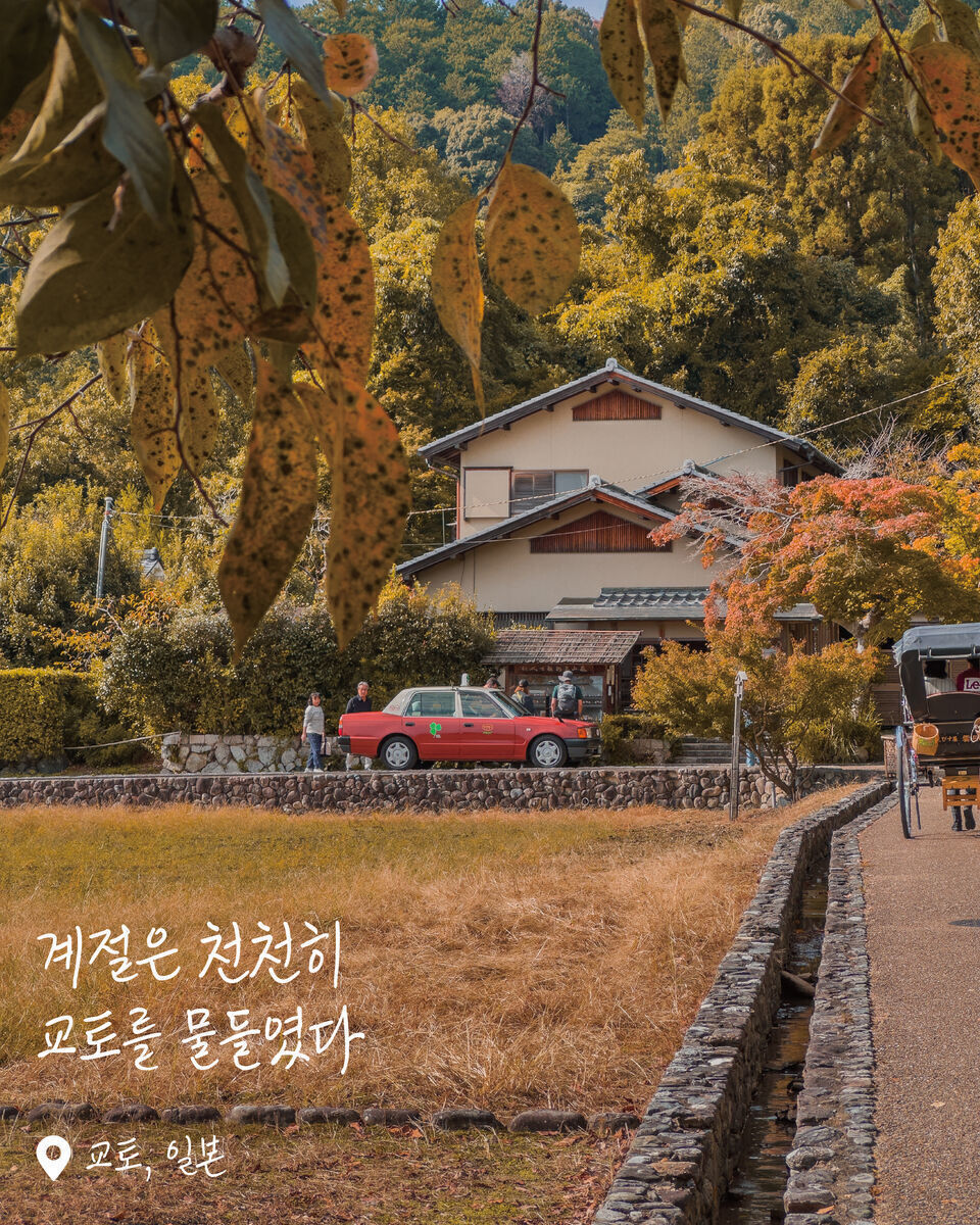 아라시야마 여행 사진