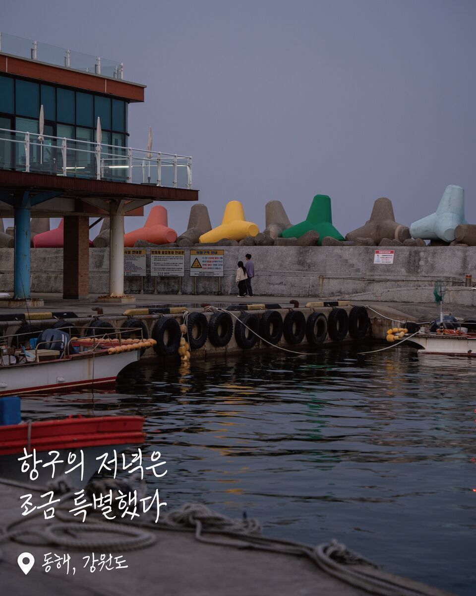 묵호항 여행 사진