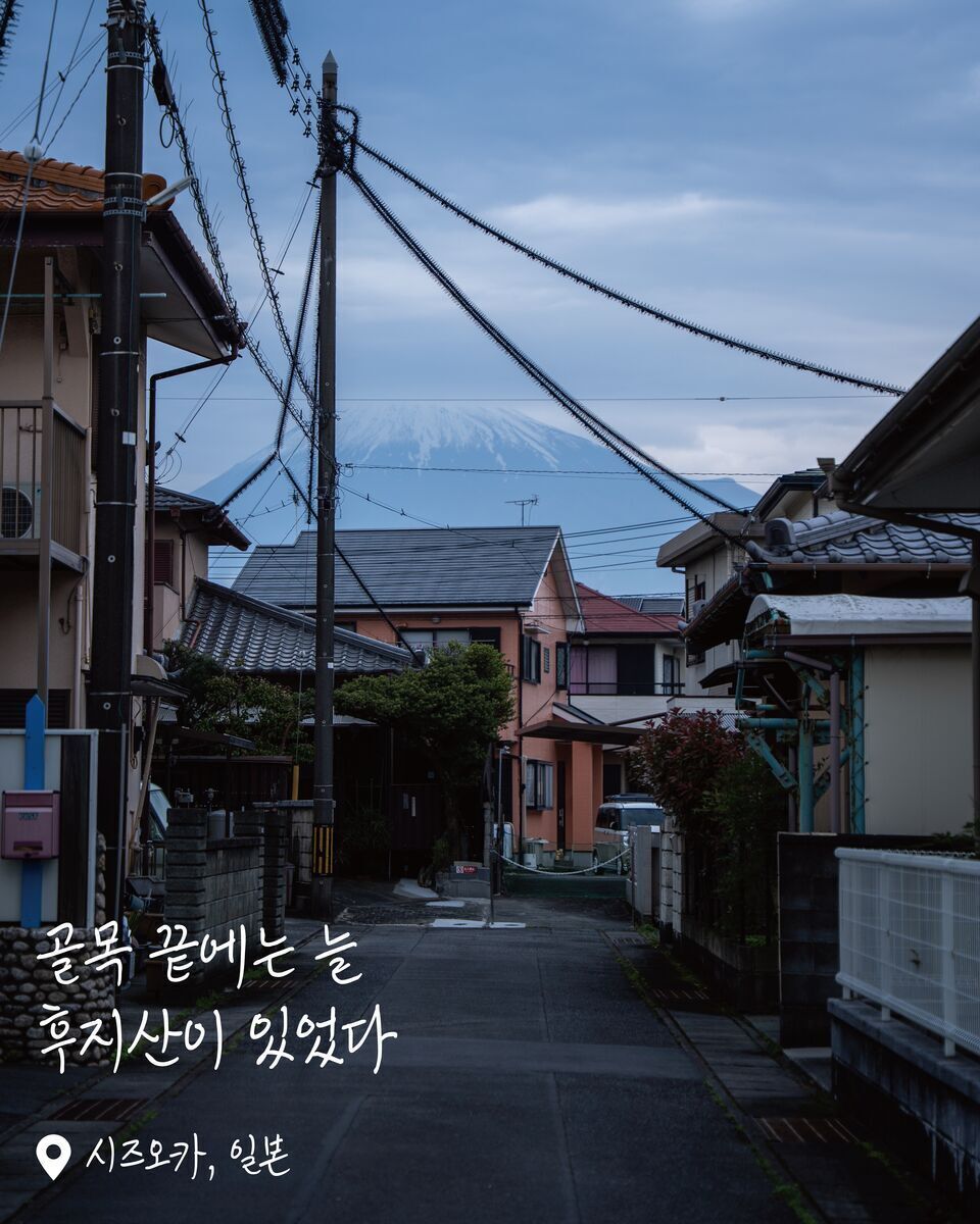 후지산 꿈의 대교 여행 사진
