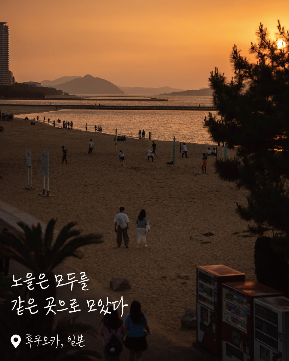 모모치해변 여행 사진