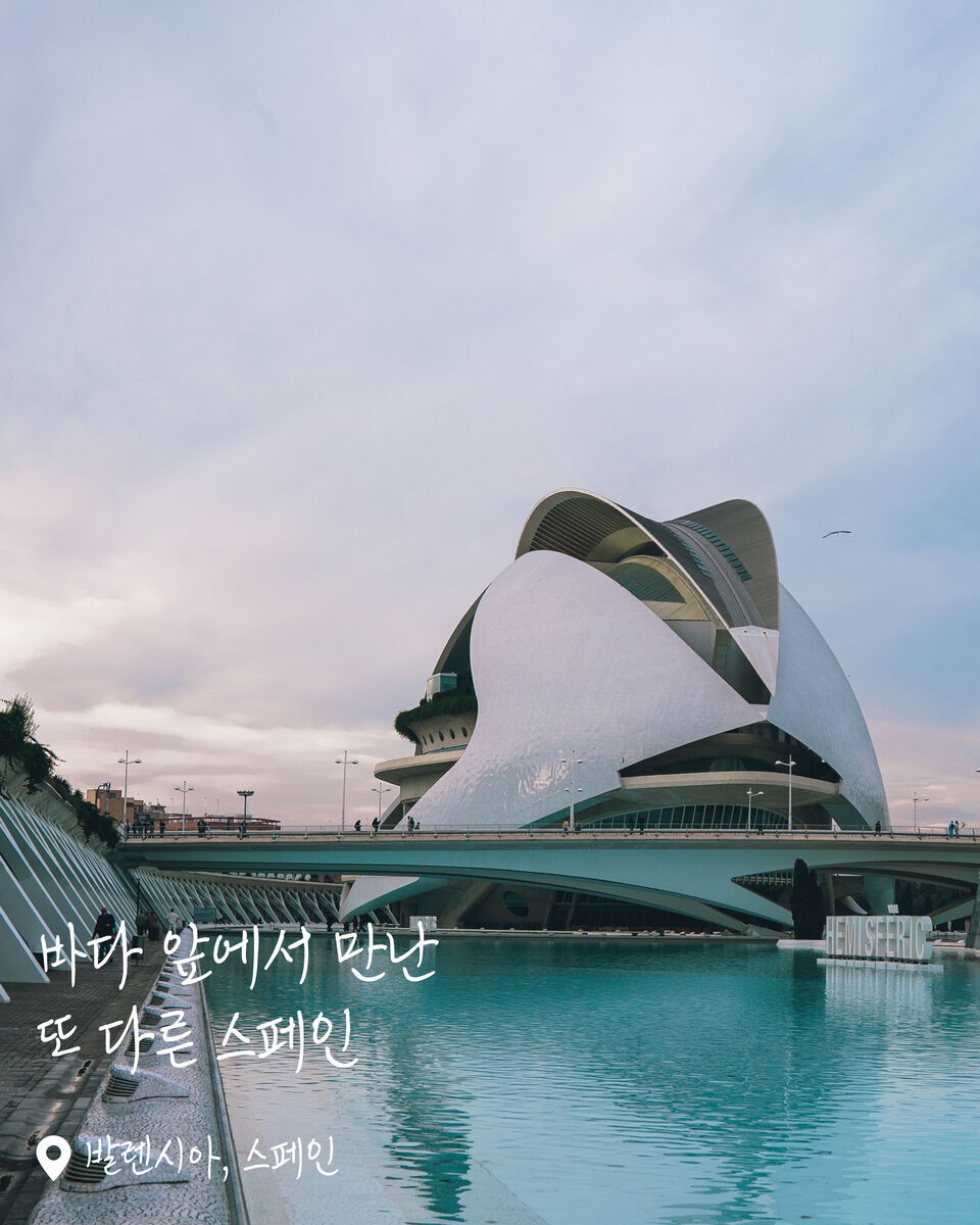발렌시아 여행 사진
