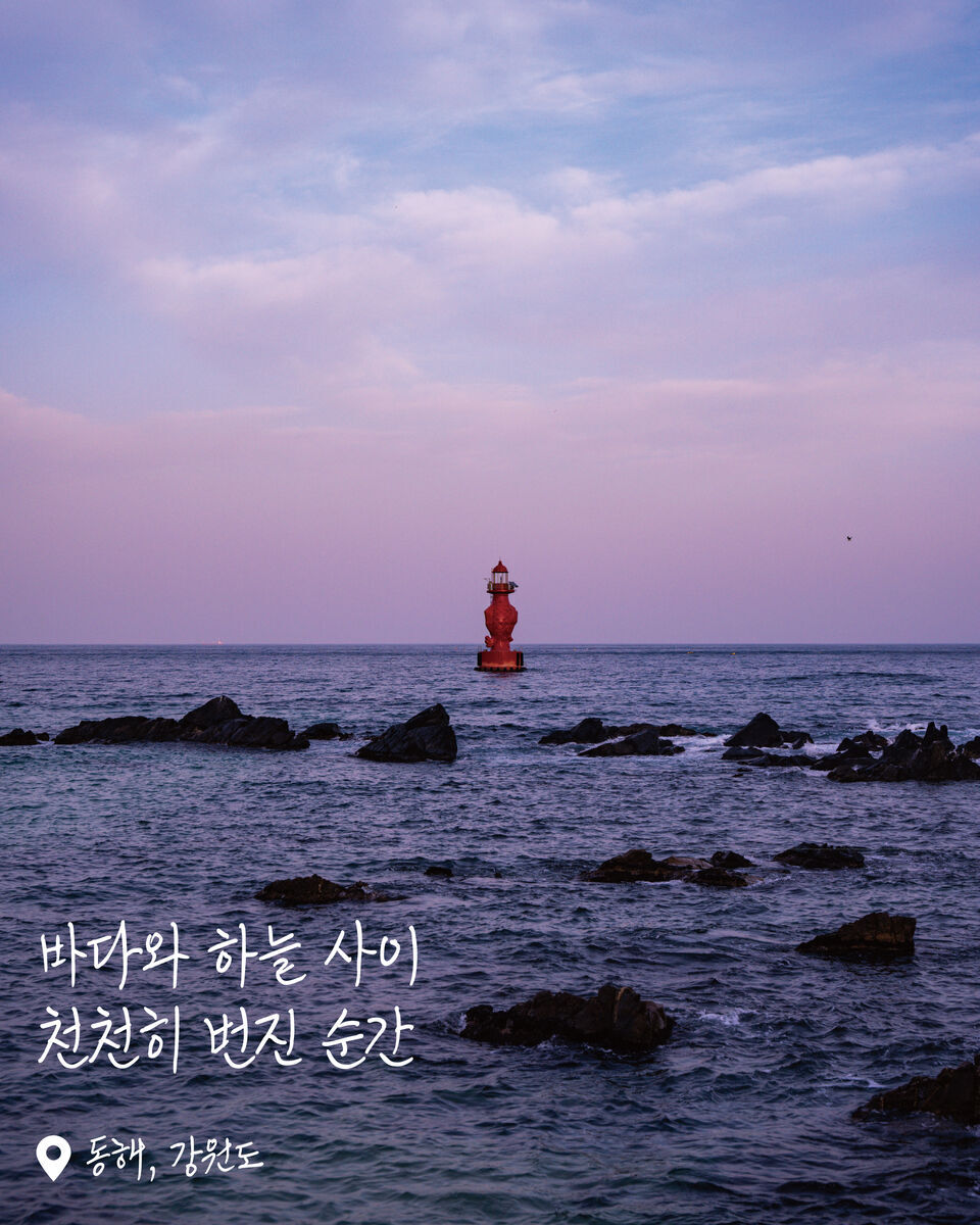 어달해변 (묵호) 여행 사진