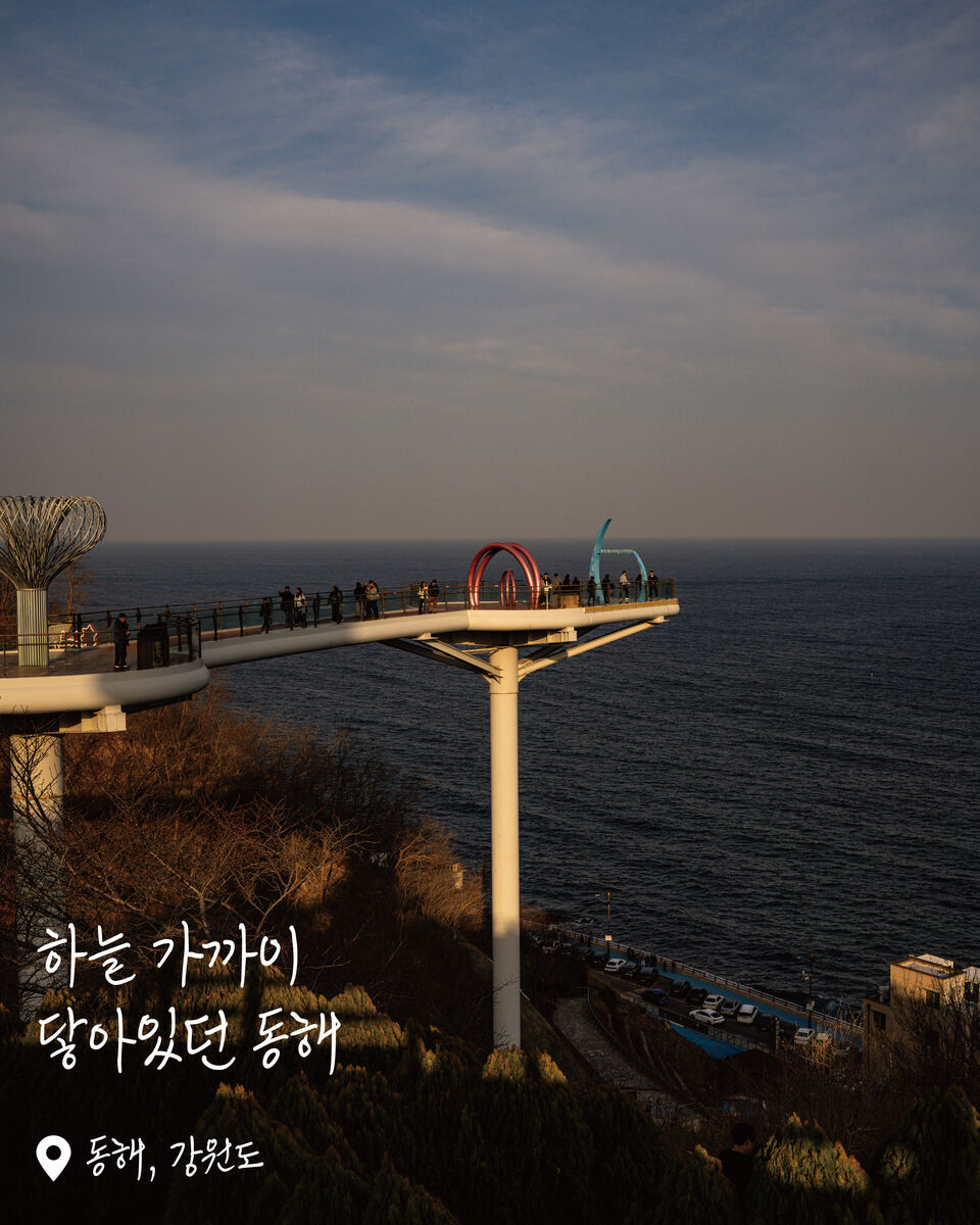 도깨비골 스카이밸리 (묵호) 여행 사진