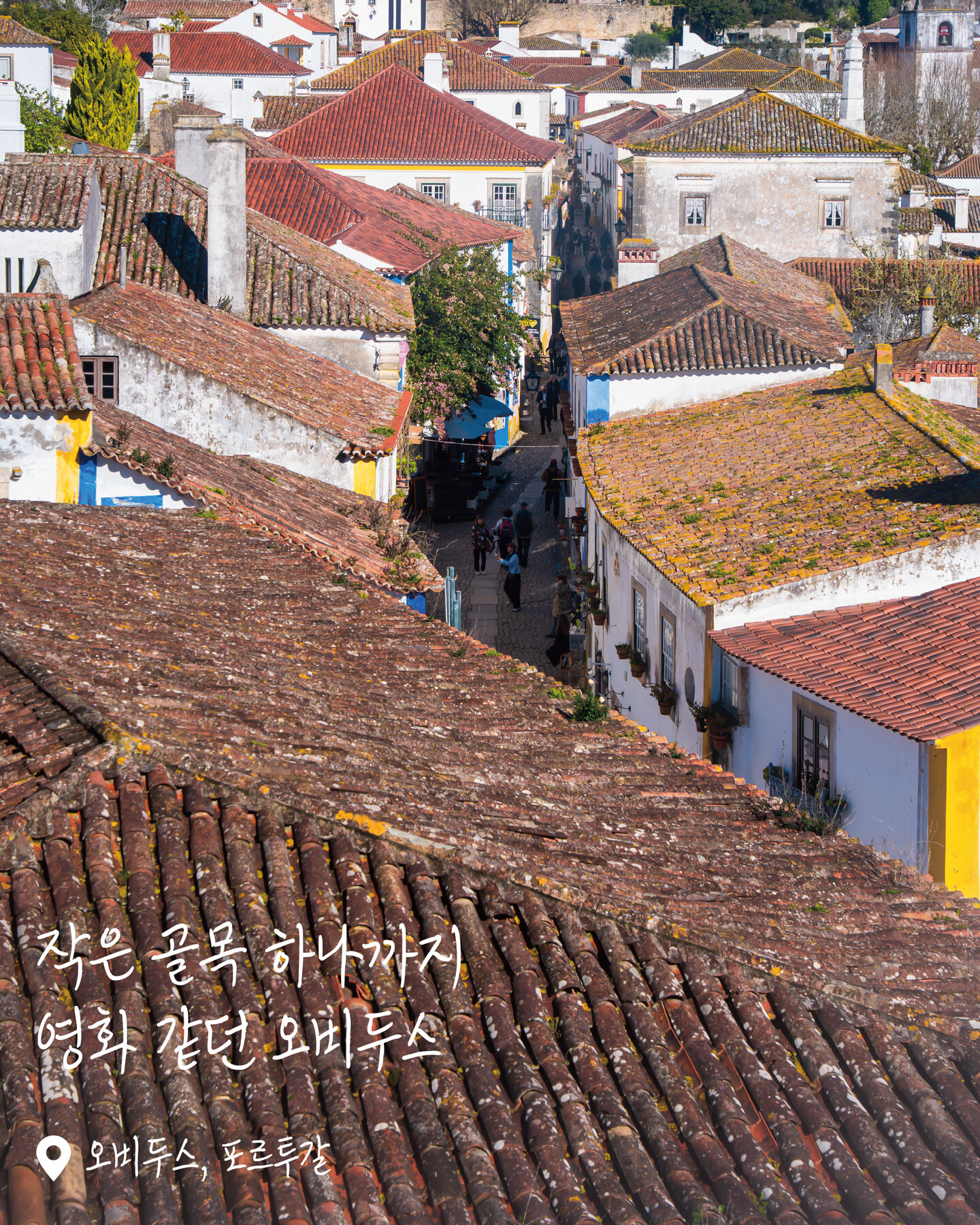 오비두스 여행 사진
