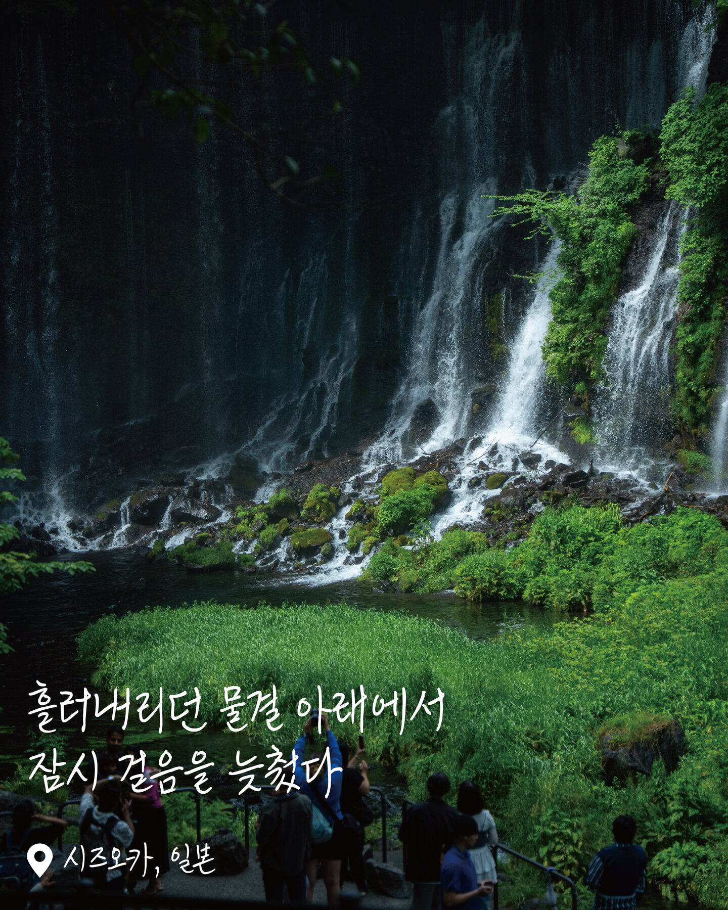 시라이토폭포 여행 사진
