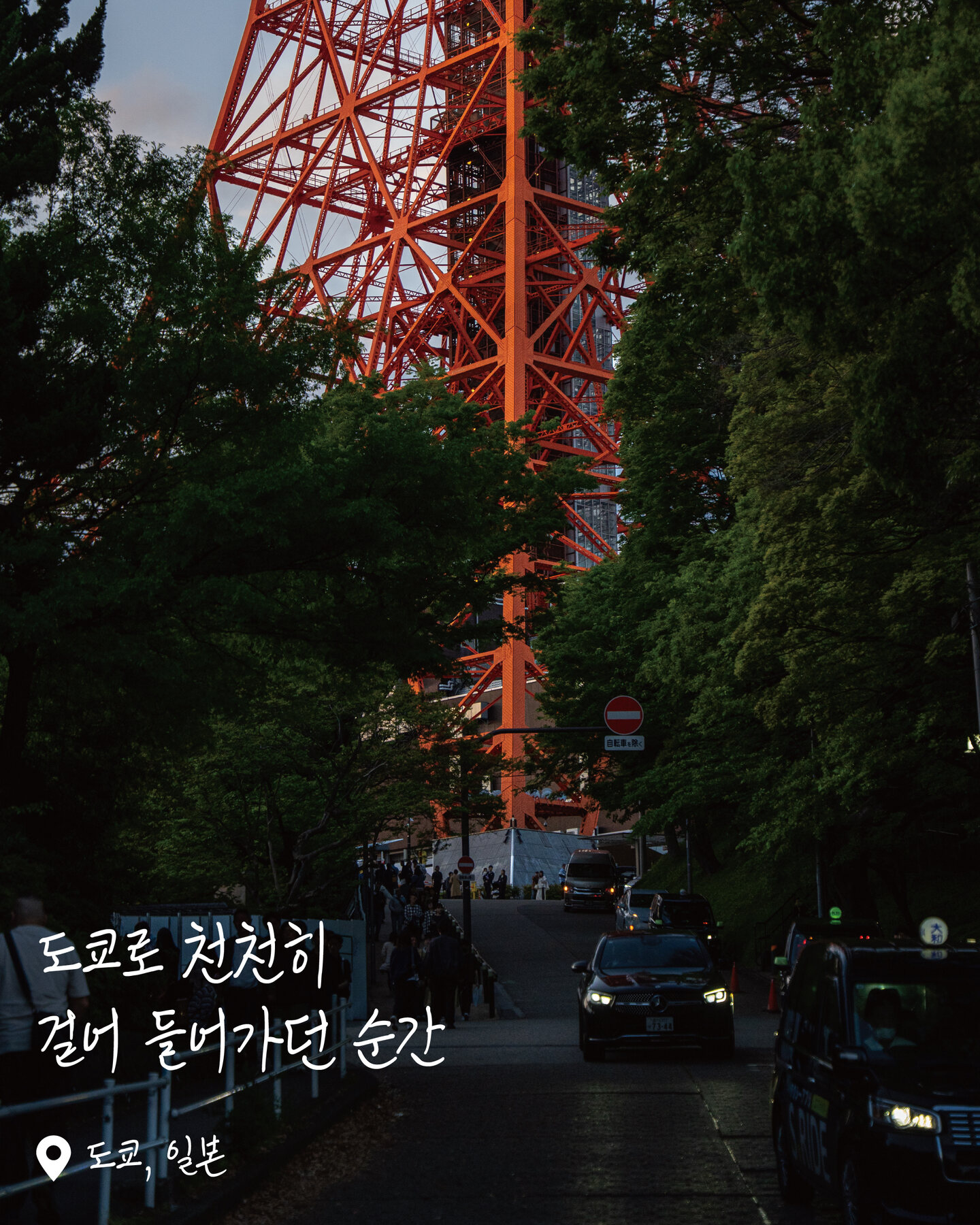 도쿄타워 여행 사진
